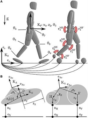 A Quick Turn of Foot: Rigid Foot-Ground Contact Models for Human Motion Prediction